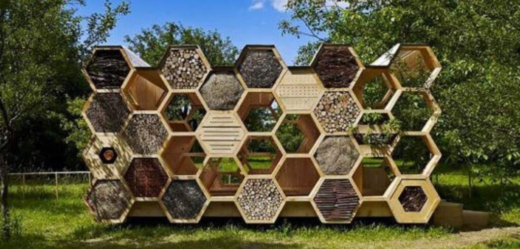 Morgan Freeman Honeybee Sanctuary