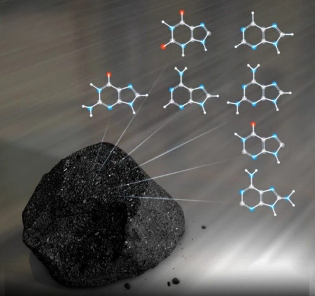 human DNA meteorite discovery